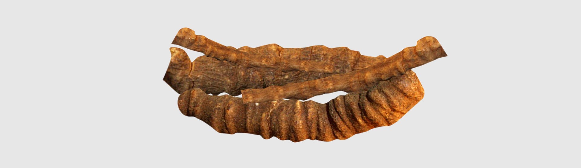 Ipecacuanha Extracts Manufacturer