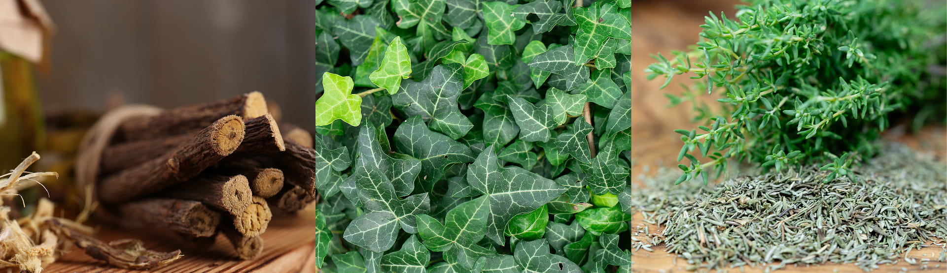Liquorice Liquid & Ivy Leaf Dry & Thyme