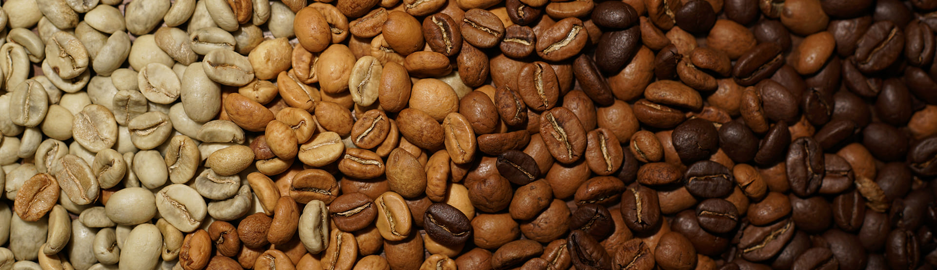 Natural Caffeine Manufacturer and Supplier